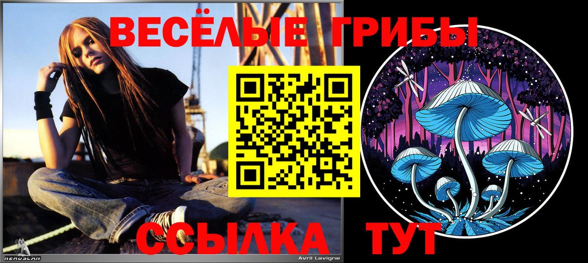 Псилоцибиновые грибы мухоморы Тулун